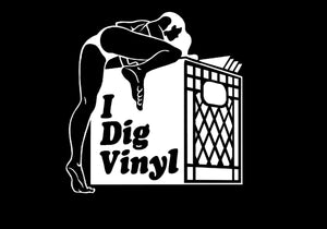 I Dig Vinyl